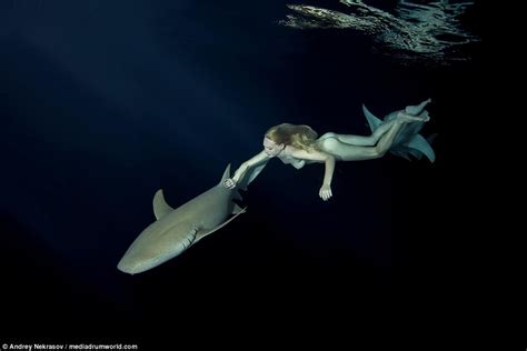 nude shark|Naked in Shark Infested Waters .